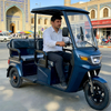 Electric Leisure Tricycle