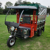 Electric Passenger-Cargo Tricycle