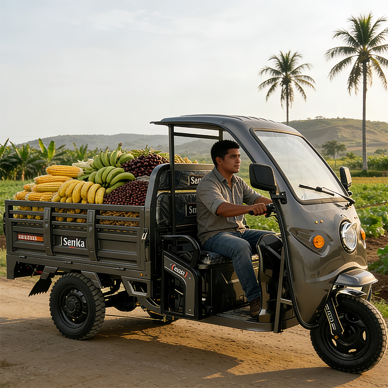 Electric Cargo Tricycle
