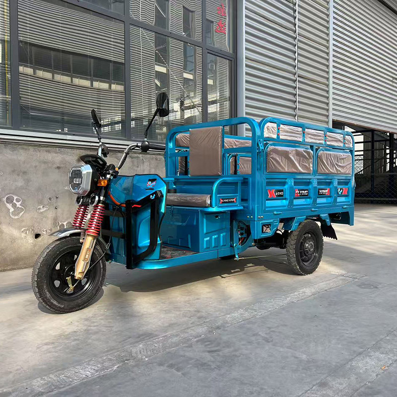 Electric Passenger-Cargo Tricycle
