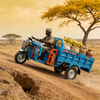 Electric Cargo Tricycle