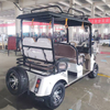 Electric Four-Wheel Leisure Vehicle