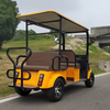 Electric Four-Wheel Leisure Vehicle