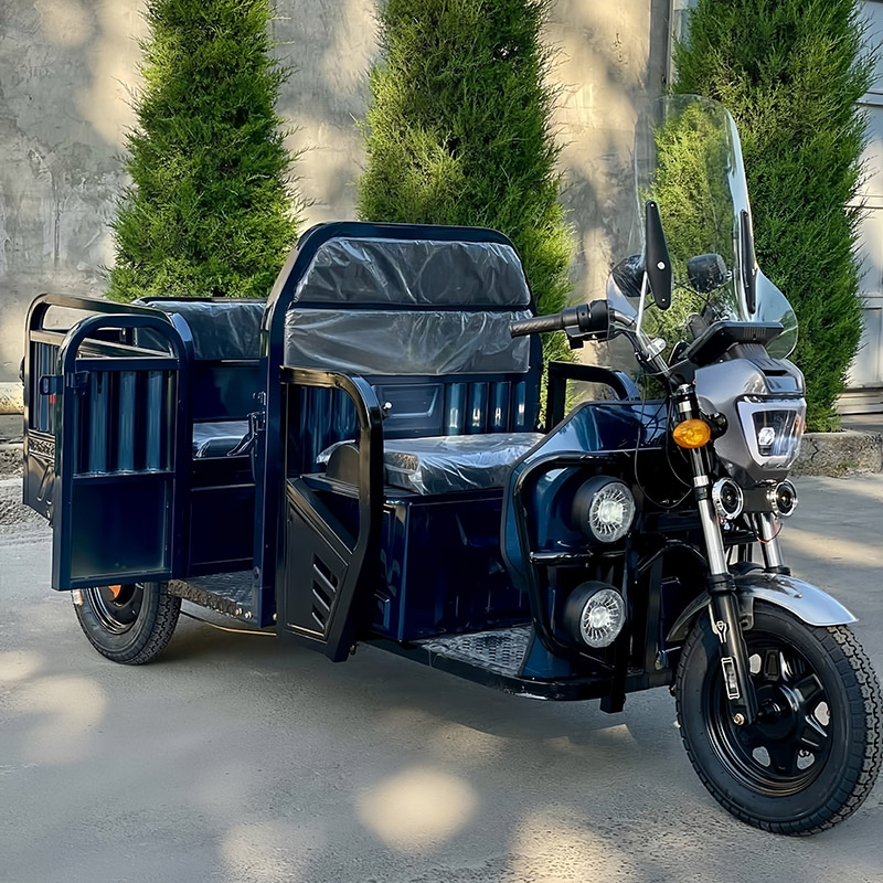 Electric Leisure Tricycle