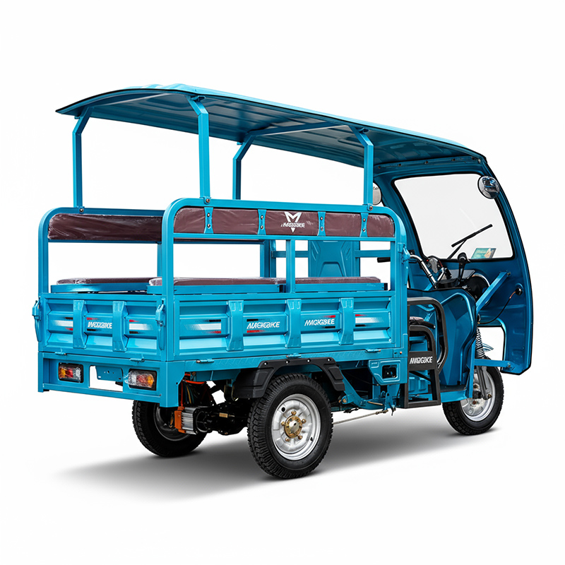 Electric Passenger-Cargo Tricycle