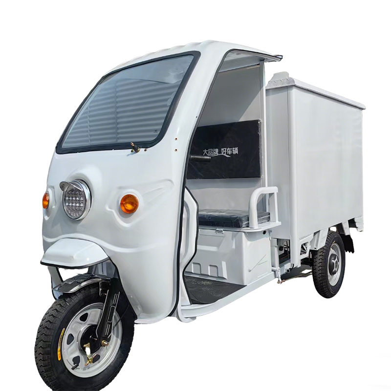 Express Delivery Electric Vehicle