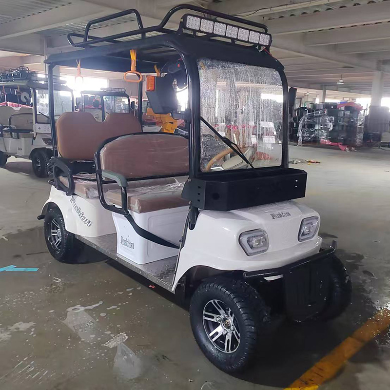 Electric Four-Wheel Leisure Vehicle