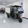 Electric Passenger-Cargo Tricycle