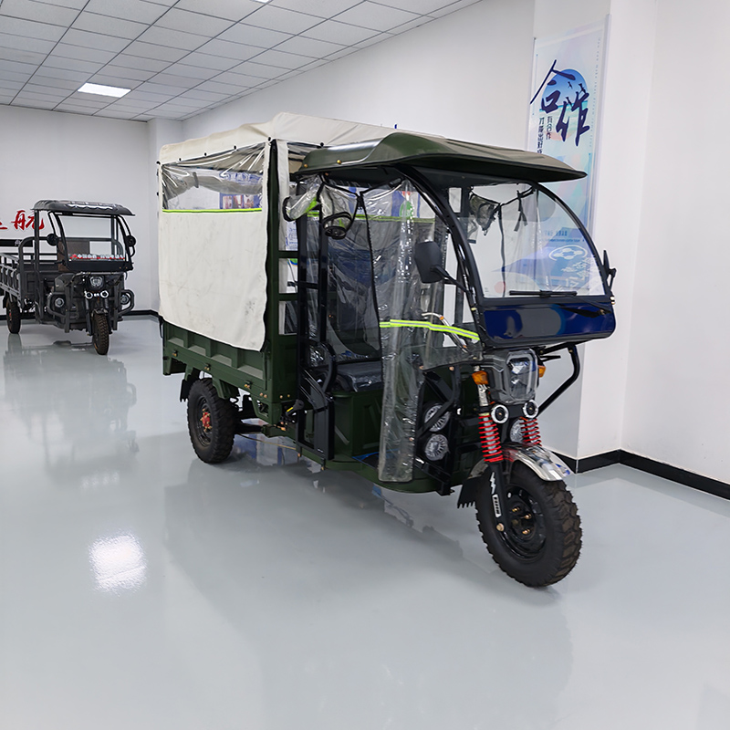 Electric Passenger-Cargo Tricycle