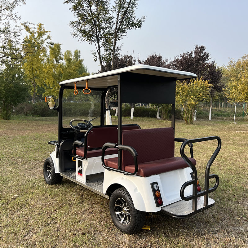 Electric Four-Wheel Leisure Vehicle