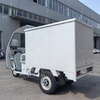 Express Delivery Electric Vehicle