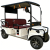Electric Four-Wheel Leisure Vehicle