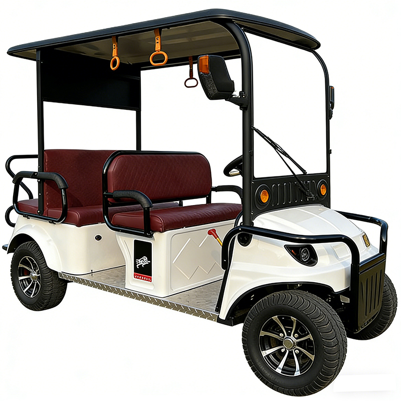 Electric Four-Wheel Leisure Vehicle