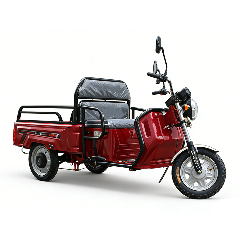 Electric Leisure Tricycle