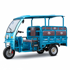 Electric Passenger-Cargo Tricycle