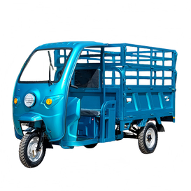 Electric Cargo Tricycle