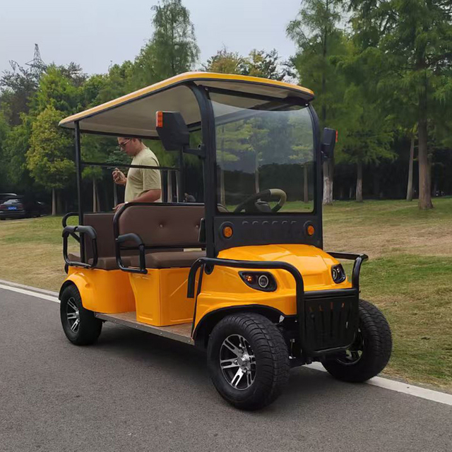 Electric Four-Wheel Leisure Vehicle
